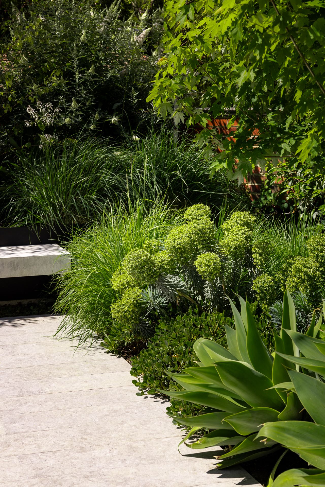 brighton landscape design 3