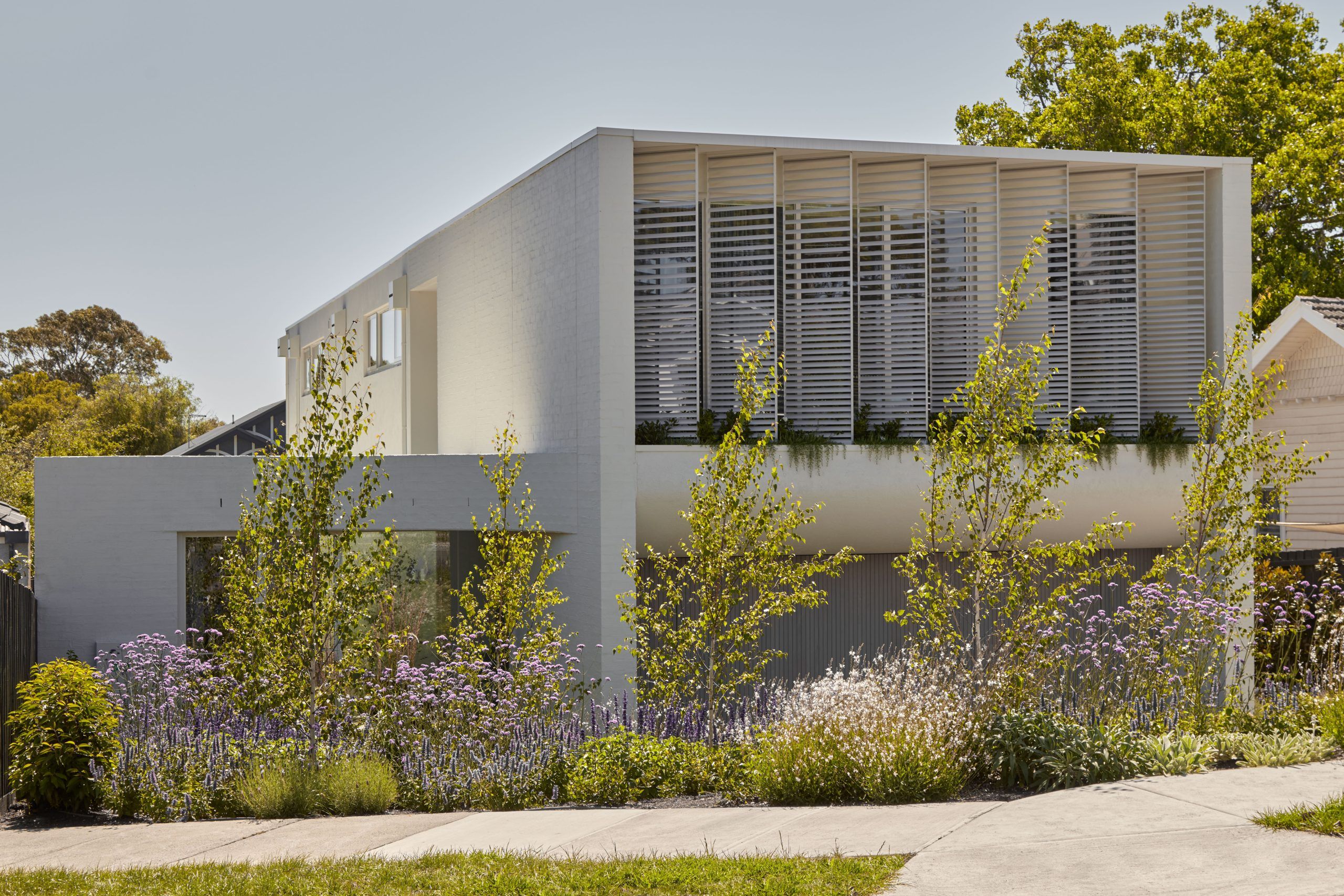 EWP_Sargood-0N3A7077