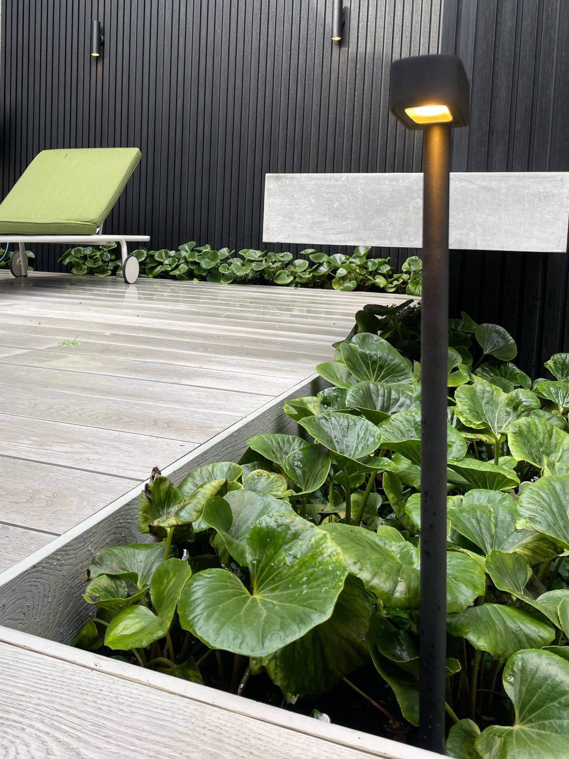 Garden Light feature image