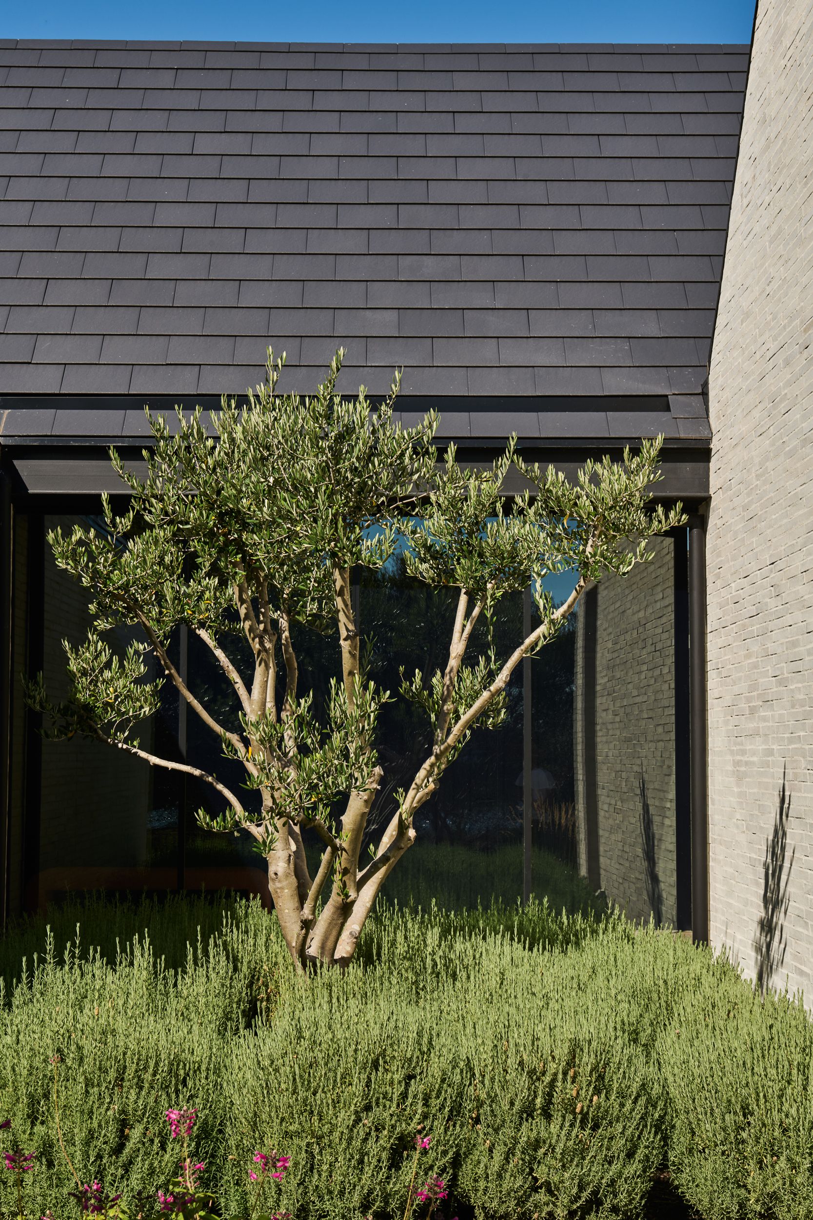 NTF_GregNorman_LowRes-53