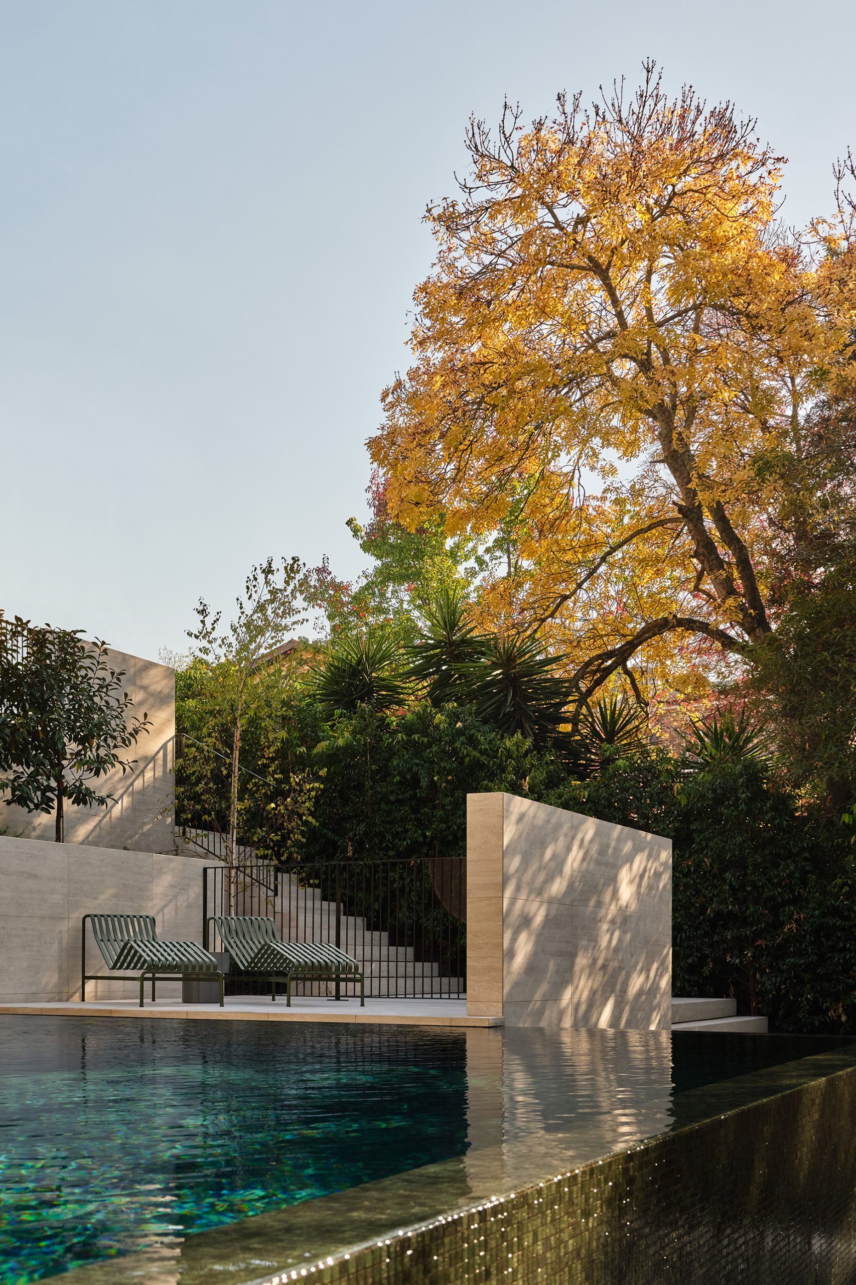 TravisWalton_KooyongResidence_2025_ElisaWatson_002