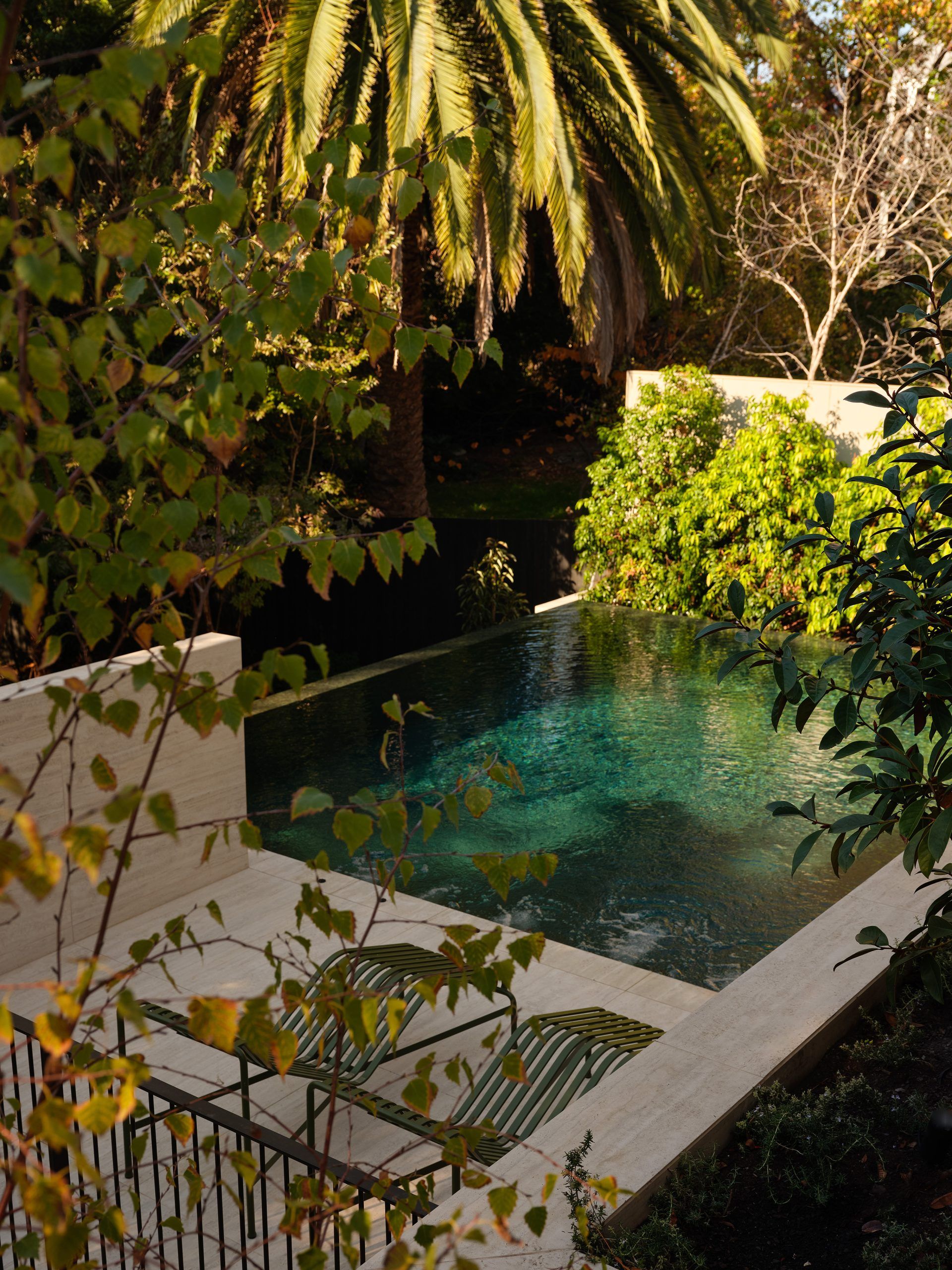 TravisWalton_KooyongResidence_2025_ElisaWatson_003